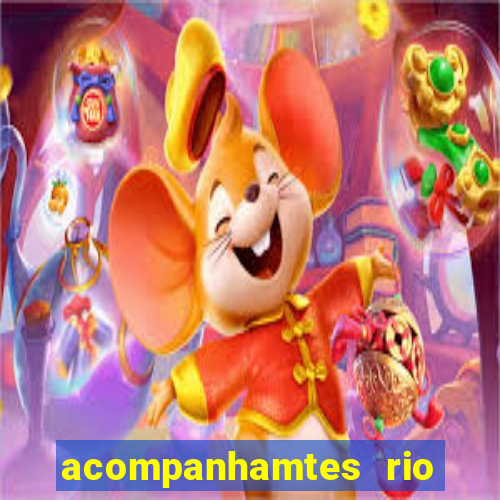 acompanhamtes rio de janeiro